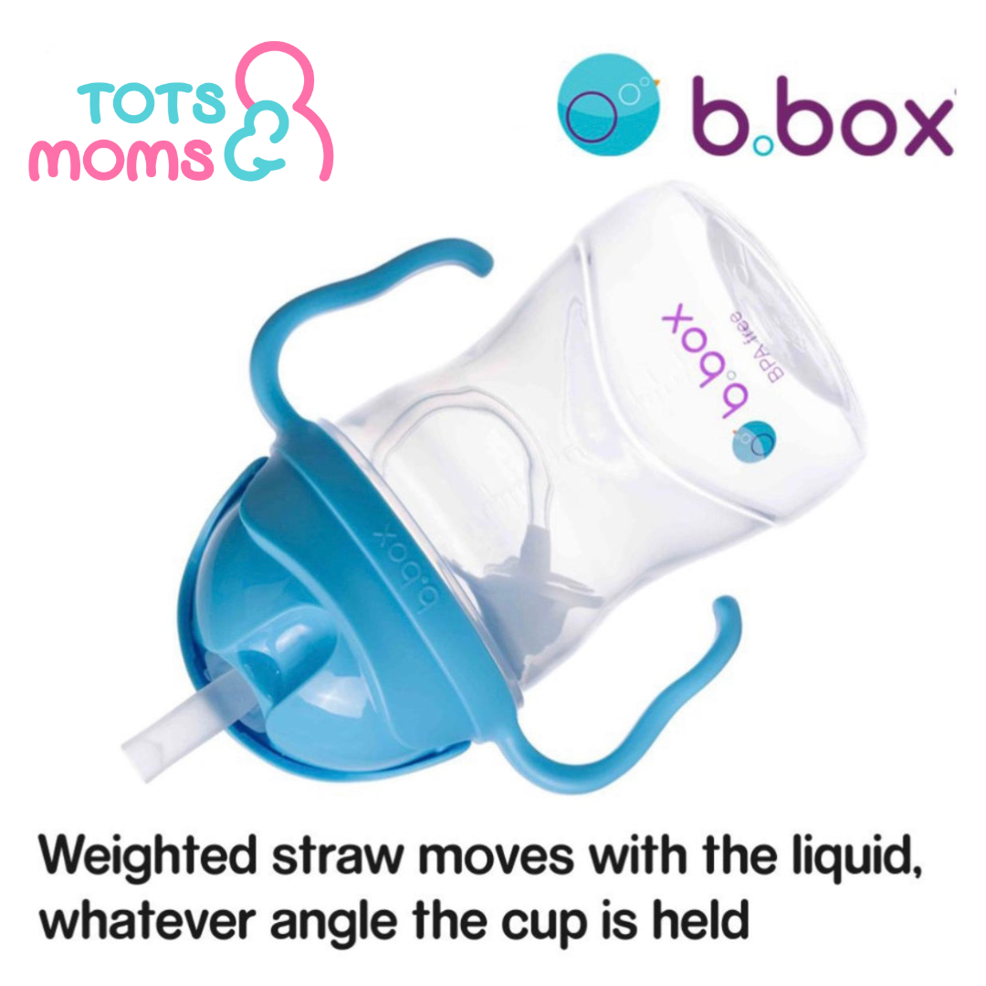 b.box Transition Value Pack