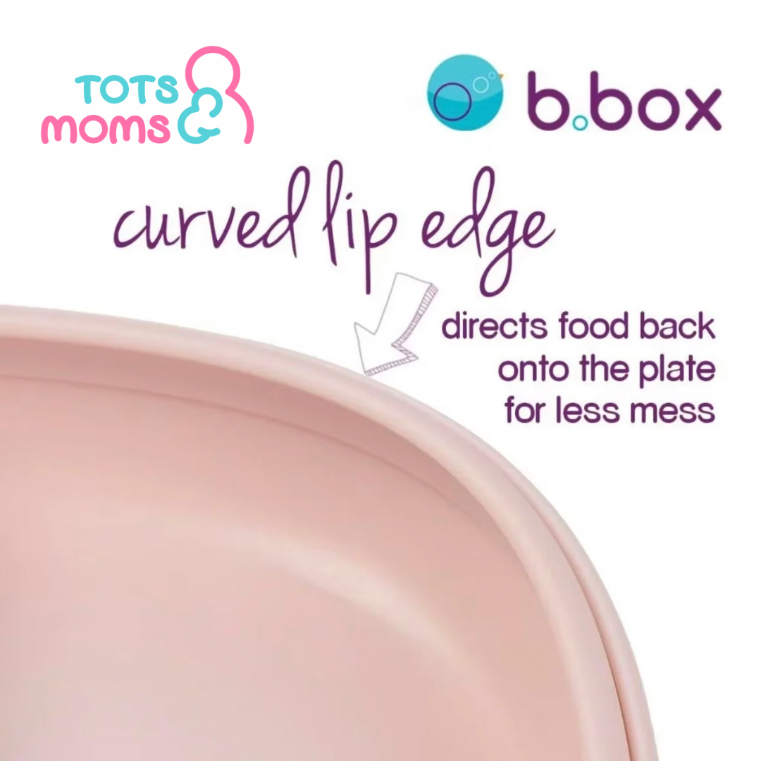 b.box 2-in-1 Suction Plate