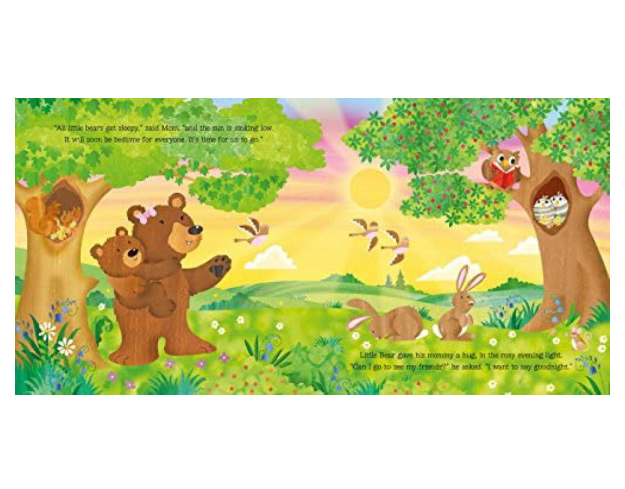 Goodnight Little Bear Book