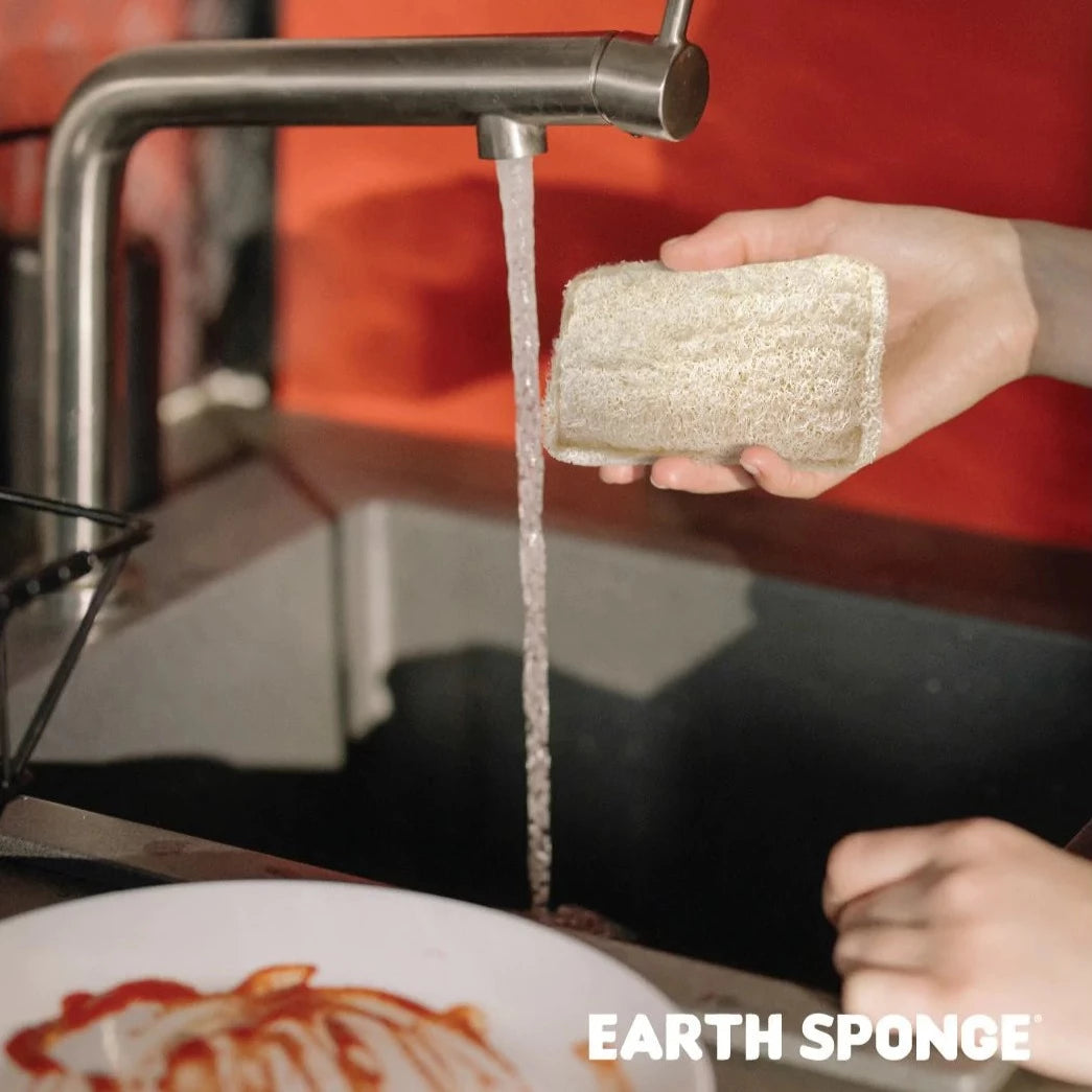 Zippies Earth Sponge Duo Gentle Scrub