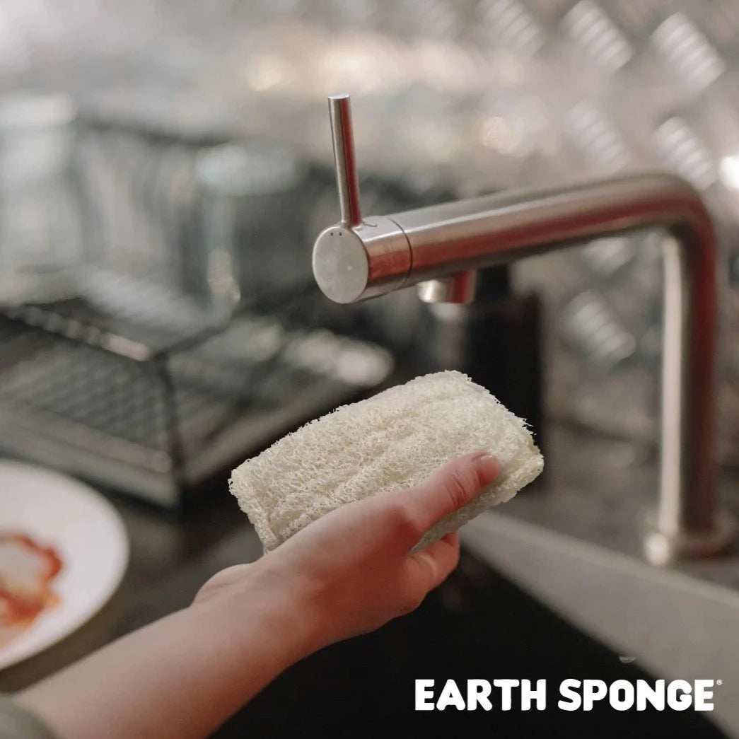 Zippies Earth Sponge Duo Gentle Scrub