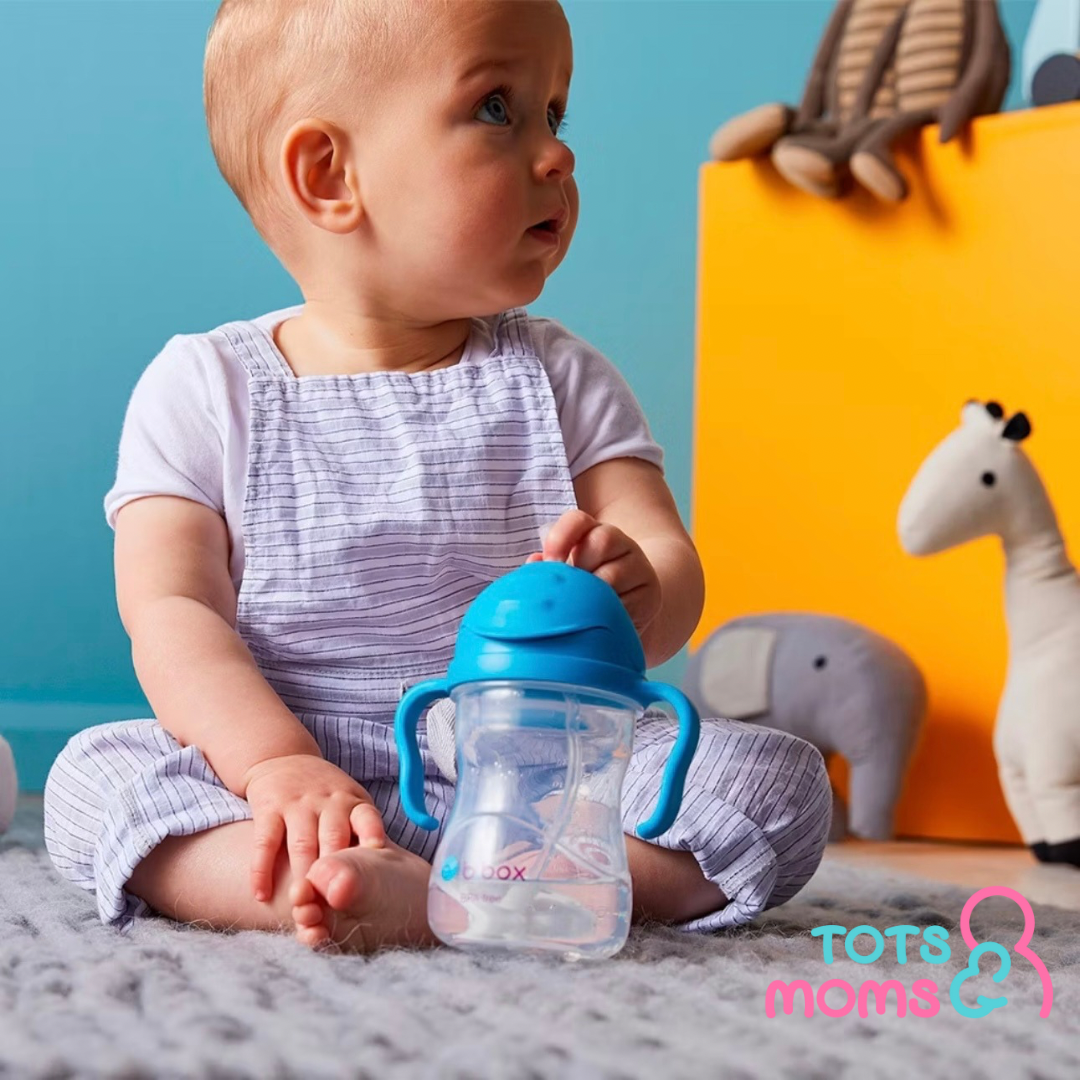 b.box Sippy Cup 240ml