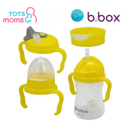 b.box Transition Value Pack