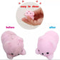 Squishies