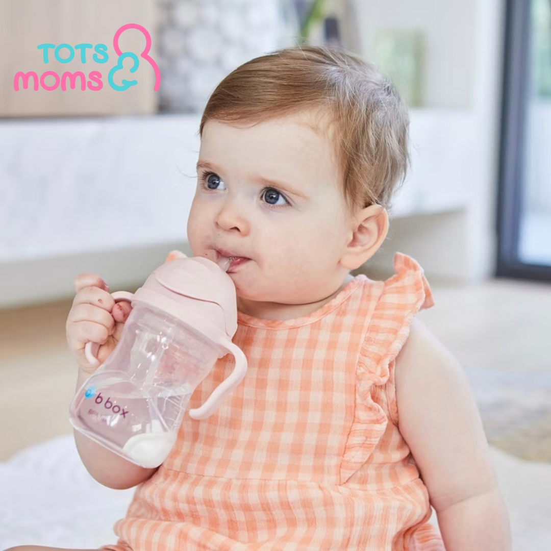 b.box Sippy Cup 240ml