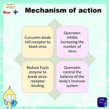 Happy Noz Organic Onion Sticker Virus +