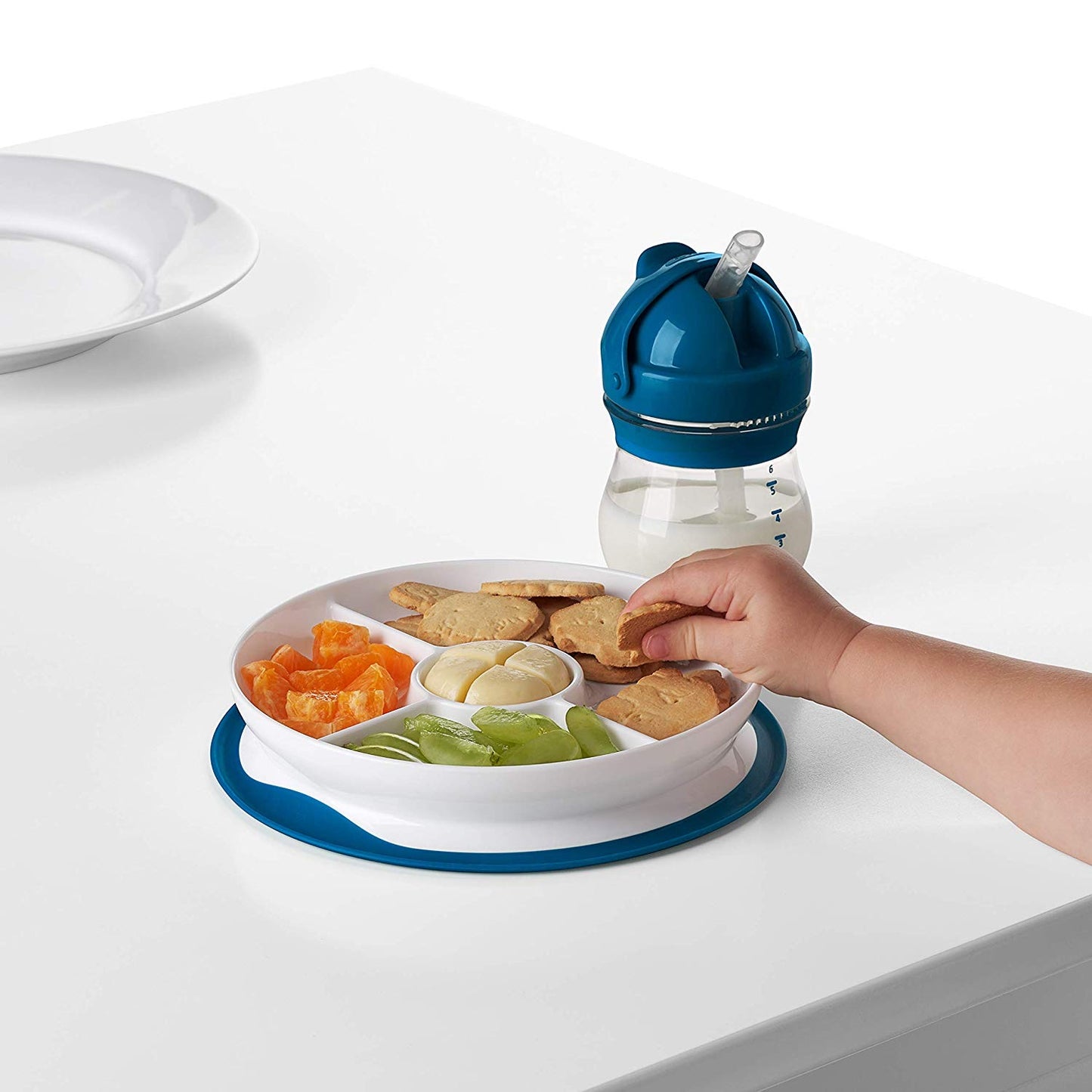 Oxo Tot Divided Plate With Removable Training Ring