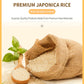 Baby Mum Mum Rice Rusks