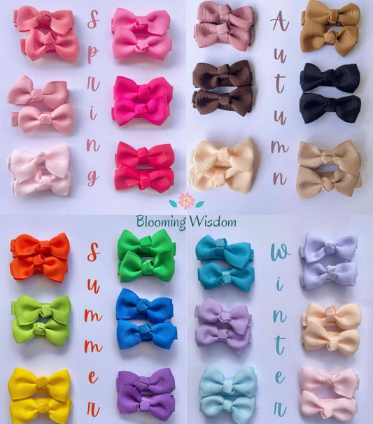 Blooming Wisdom SEASONS HAIR CLIPS SET