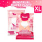 Tamme Menstrual/Post Maternity Diaper Panty